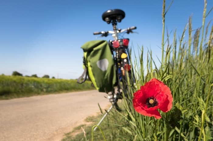 Illustration de l'événement : Brevet cyclo dans le cadre du téléthon