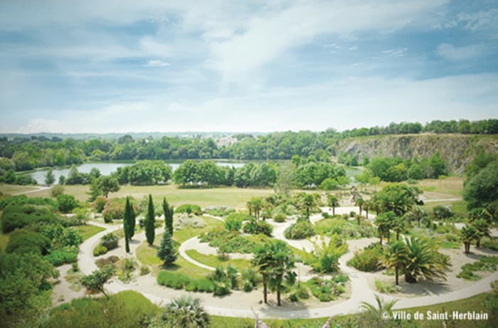 Illustration de l'événement : Le voyage des plantes : balade botanique et sensorielle