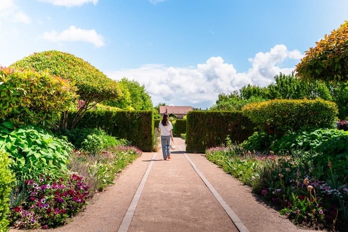 Illustration de l'événement : Visite libre du jardin du musée