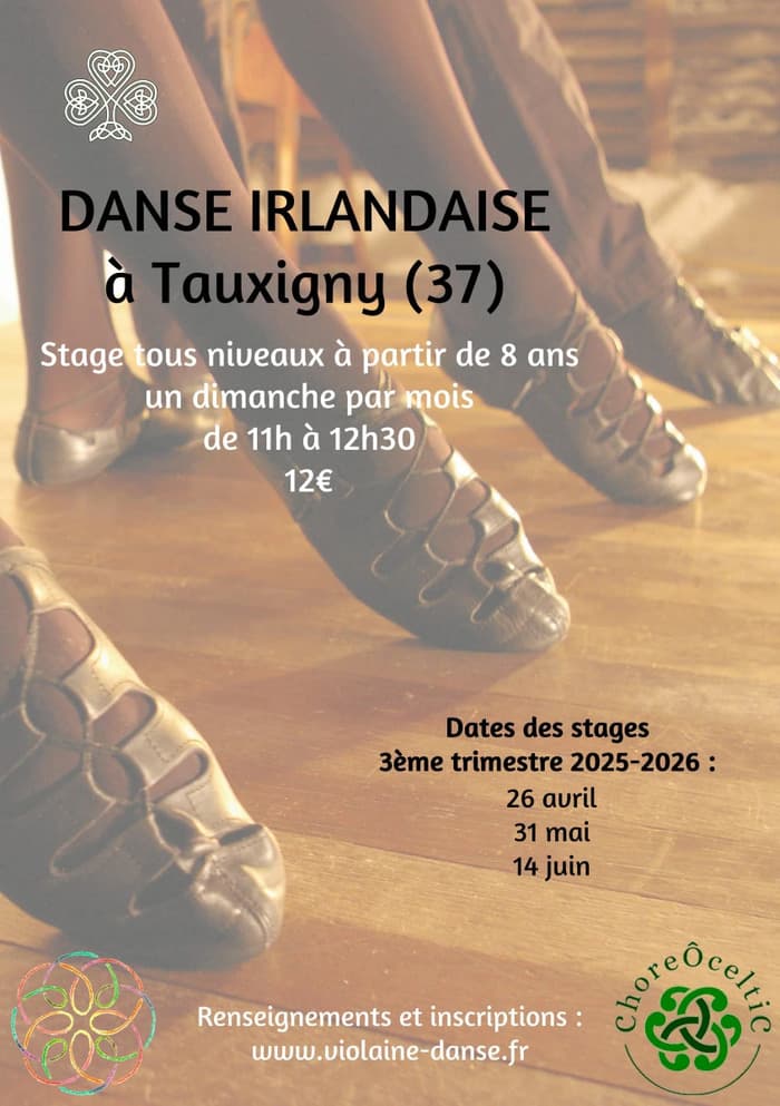 Illustration de l'événement : Stage de danse irlandaise