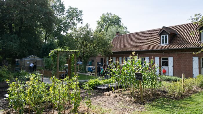 Illustration de l'événement : Préparons l'été au potager