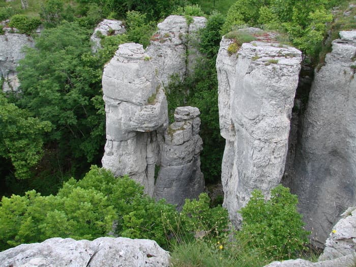 Illustration de l'événement : Randonnée-découverte de la Combe aux Mammouths