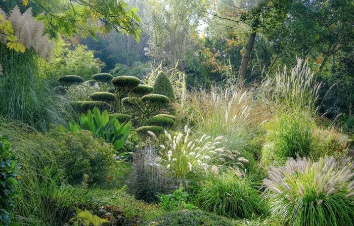 Illustration de l'événement : Visite libre du Jardin de Planbuisson