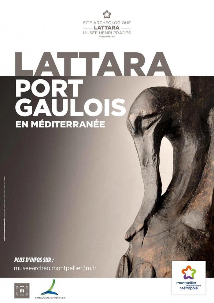 Illustration de l'événement : Lattara : visite libre de la collection permanente