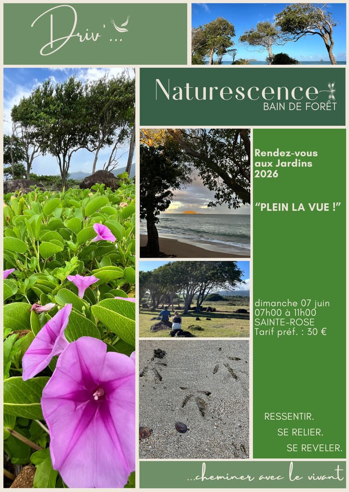 Illustration de l'événement : Bain de forêt "Plein la vue !"