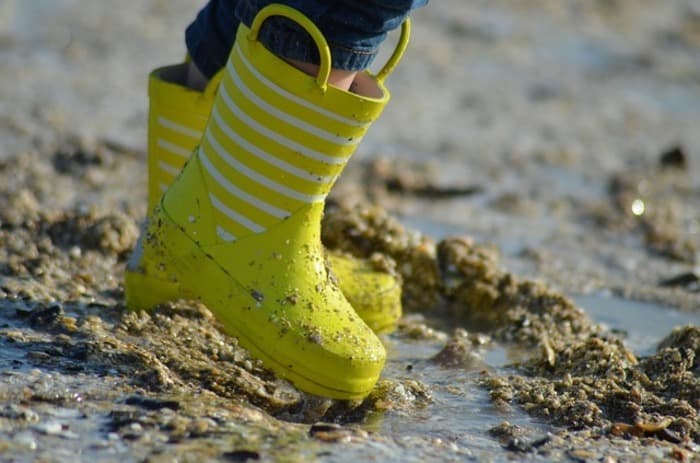 Illustration de l'événement : Sortie découverte de la pêche à pied