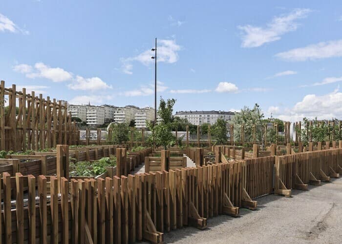 Illustration de l'événement : Le Potager de la Cantine