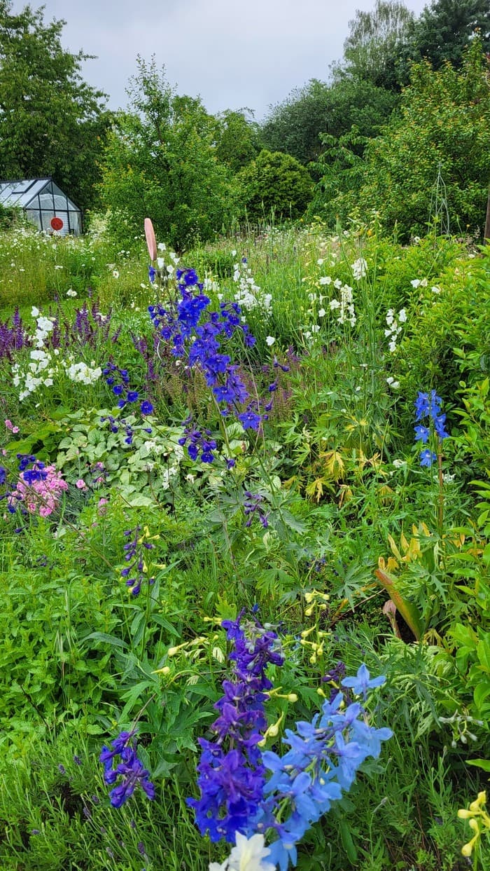 Illustration de l'événement : La grande vue dans le jardin pour tous. Un regard sur les jardins des professionnels.