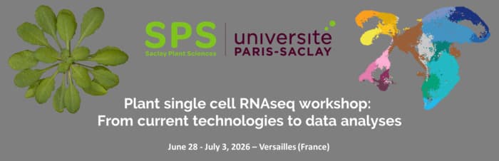 Illustration de l'événement : SPS Summer School 2026 - "Plant single cell RNAseq workshop: From current technologies to data analyses"