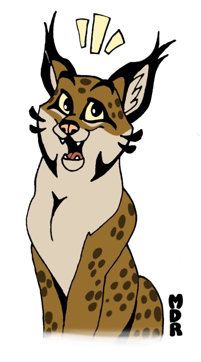 Illustration de l'événement : le lynx sur le marché