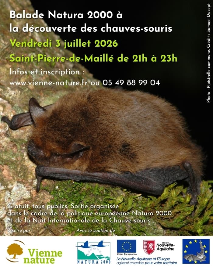Illustration de l'événement : Balade Natura 2000 à la découverte des chauves-souris