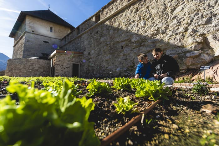Illustration de l'événement : Visite du potager de Thun