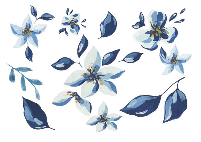 Illustration de l'événement : Leçon d’aquarelle au jardin