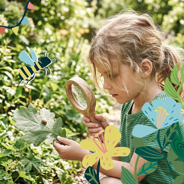 Illustration de l'événement : ATELIER D’OBSERVATION DES INSECTES, par Les Petits Débrouillards
