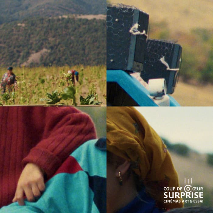 Illustration de l'événement : Avant-Première surprise : film coup de cœur "Art et Essai"