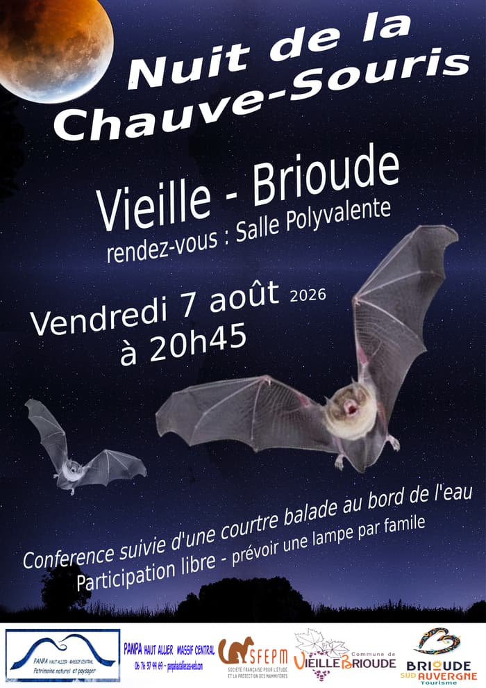 Illustration de l'événement : Nuit de la chauve-souris à Vieille Brioude