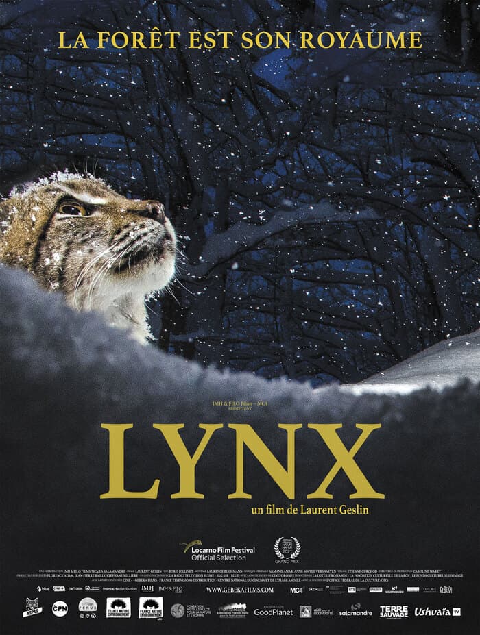 Illustration de l'événement : Film documentaire "Lynx"