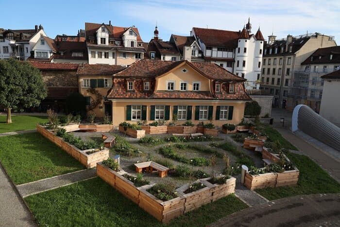 Illustration de l'événement : Magie des fleurs dans le jardin du monastère de Saint-Gall