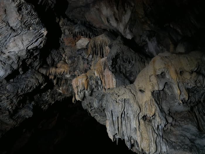 Illustration de l'événement : Sous le causse, ça s’affine ! - visite d'une ancienne cave d'affinage souterraine