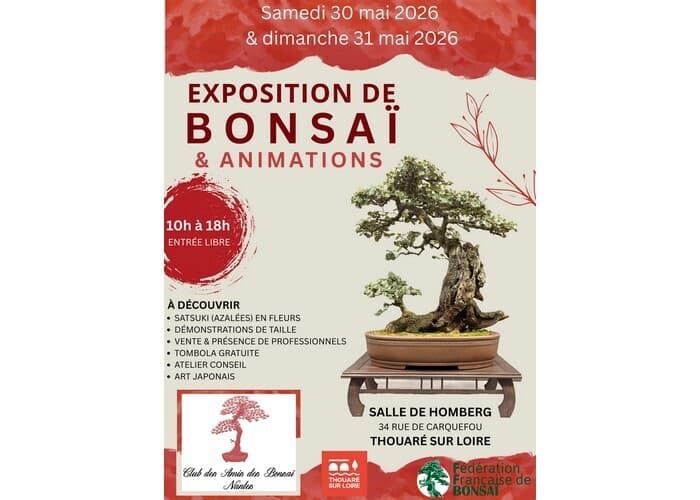 Illustration de l'événement : Exposition de Bonsaï