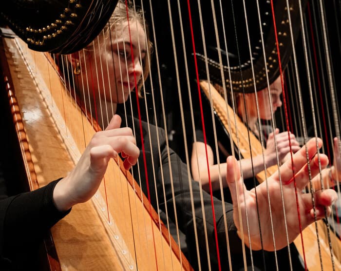 Illustration de l'événement : Scène ouverte : guitares & harpes