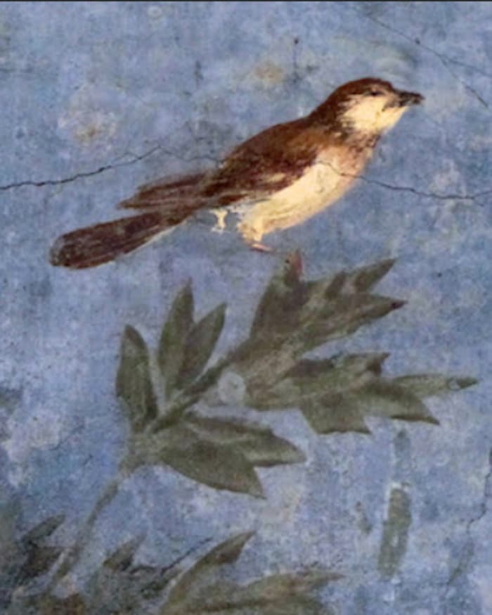 Illustration de l'événement : Conférence  “Quand la Nature Inspire l’Art”