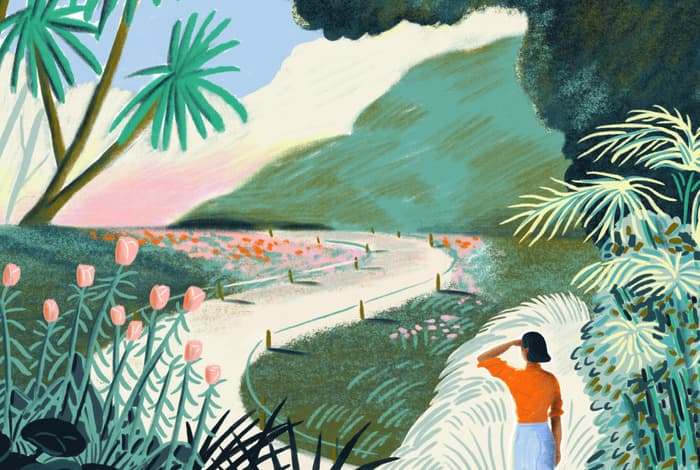 Illustration de l'événement : Rendez-vous aux jardins 2026 au Muséum de Toulouse