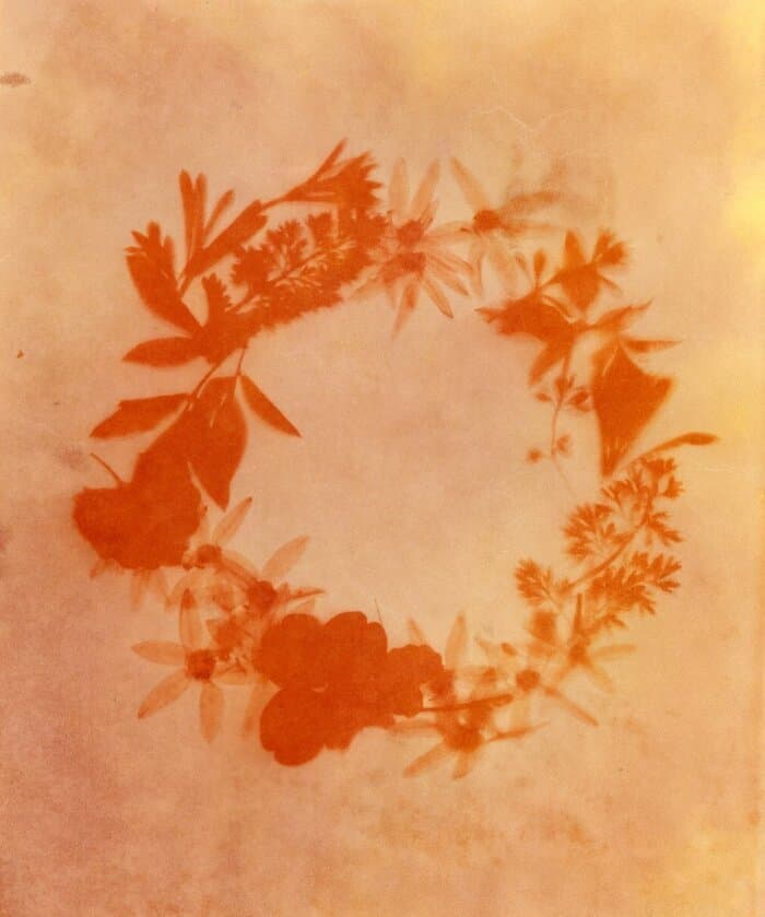 Illustration de l'événement : Atelier initiation à la création de carte végétale, technique anthotype au curcuma