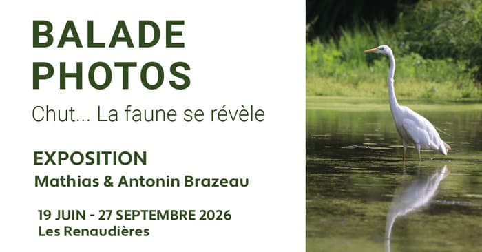 Illustration de l'événement : Balade Photos 2026
