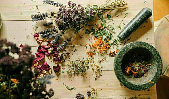 Illustration de l'événement : Atelier Plaisir de plantes