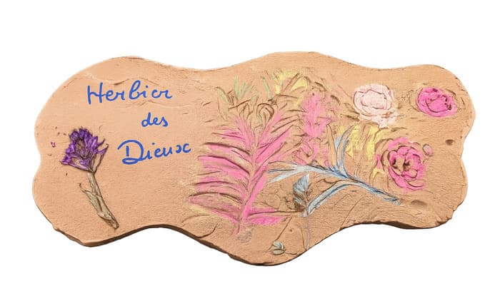 Illustration de l'événement : L'herbier des dieux