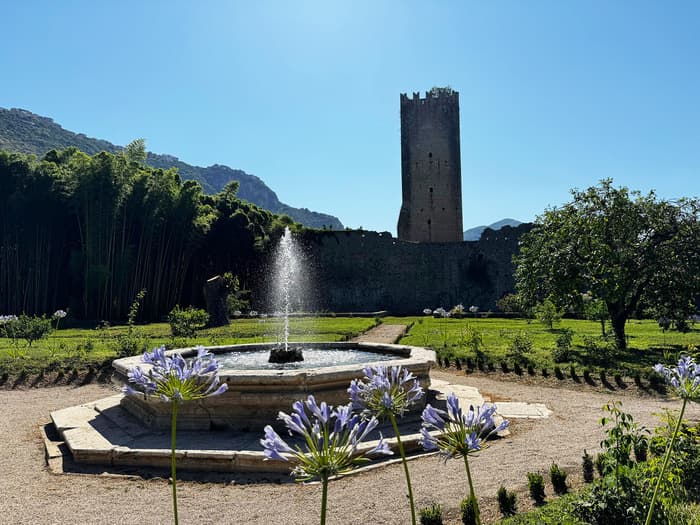 Illustration de l'événement : Visite guidée à la découverte des zones restaurées du jardin