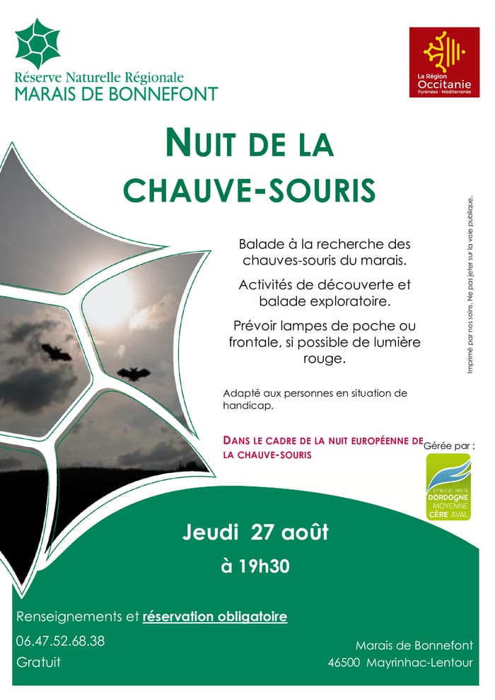 Illustration de l'événement : Nuit de la Chauve-souris