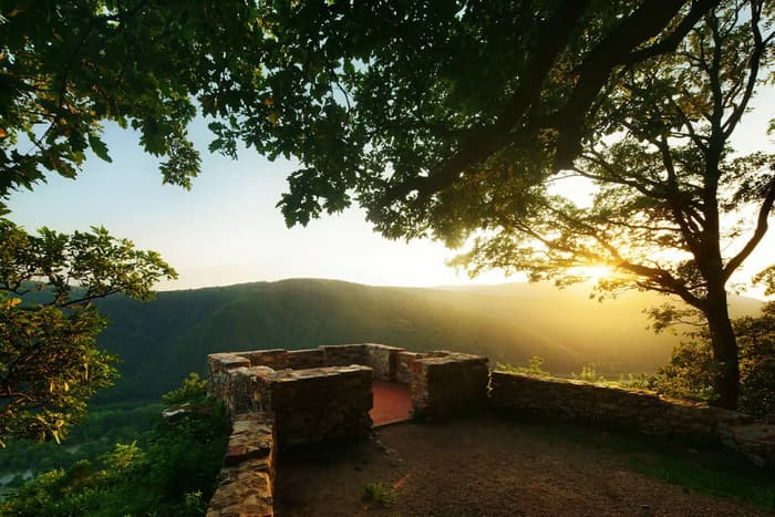 Illustration de l'événement : Le savoir grandit dans le jardin : grande gestion de la forêt