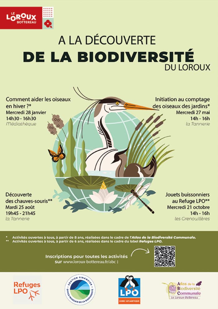 Illustration de l'événement : Animation Refuges LPO : Découverte des chauves-souris