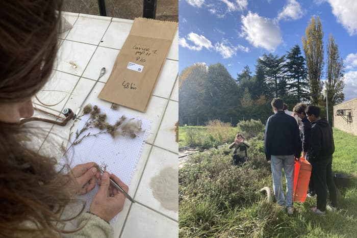 Illustration de l'événement : Élixirs du Plateau de Saclay / Parcours artistique insolite par la compagnie TANGIBLE