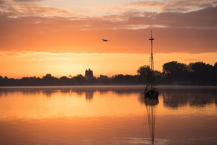 Illustration de l'événement : Balade naturaliste : "Les secrets du marais au crépuscule"