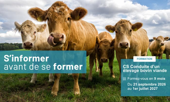 Illustration de l'événement : S'informer avant de se former - CS Conduite d'un élevage bovin viande