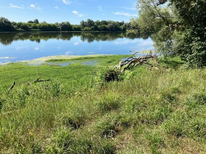 Illustration de l'événement : Explorez les bords de Loire à La Chapelle-Saint-Mesmin