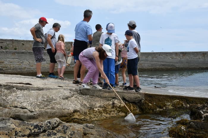 Illustration de l'événement : Pêche et plancton sur le port de Concarneau