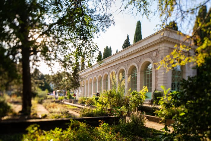 Illustration de l'événement : À la découverte du Jardin des Plantes de Montpellier