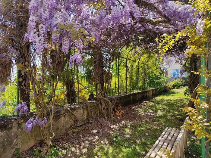Illustration de l'événement : À la découverte du jardin de la Sablière, un site historique et naturel menacé