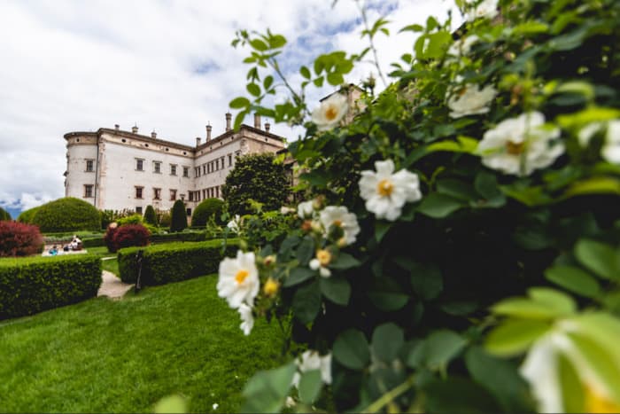 Illustration de l'événement : Renaissance dans le jardin