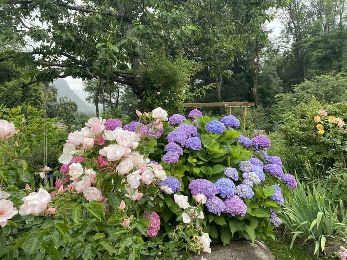 Illustration de l'événement : Le Jardin sur la Moraine visites au profit de l’association Jardins & Santé