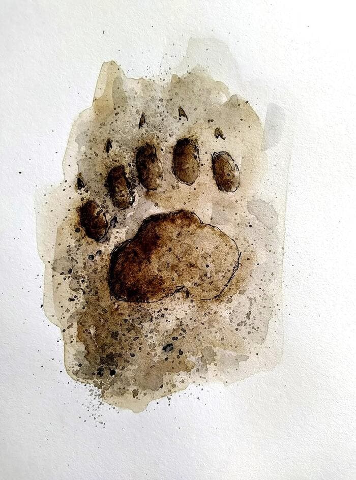 Illustration de l'événement : Atelier Moulage d'empreintes animalières