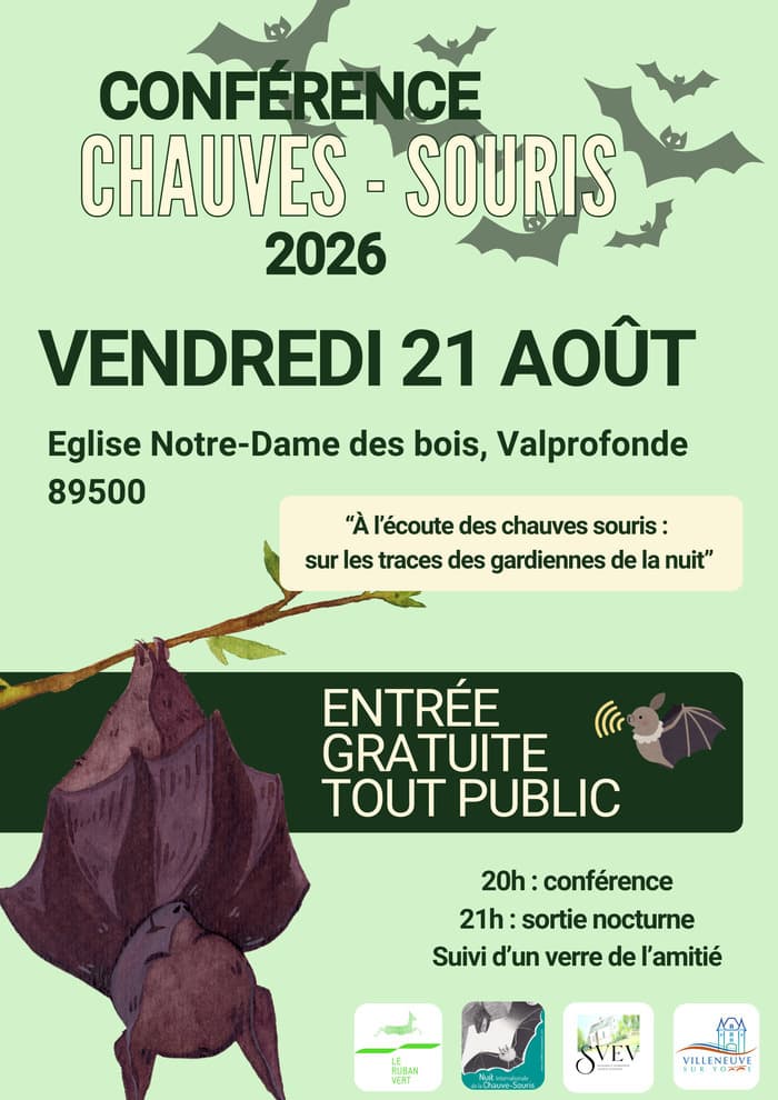 Illustration de l'événement : À l’écoute des chauves souris : sur les traces des gardiennes de la nuit