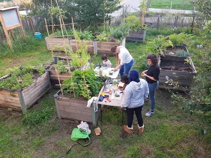 Illustration de l'événement : Animation au jardin partagé Canopia avec ECOS