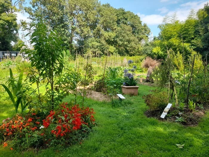 Illustration de l'événement : A la découverte des petites bêtes du jardin