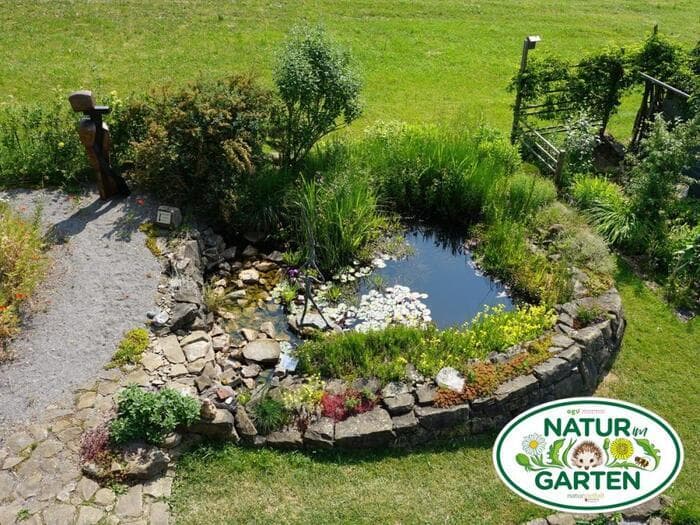 Illustration de l'événement : GRÜNBUNT - Jardinage écologique et plus encore