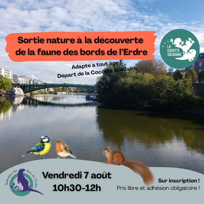 Illustration de l'événement : Balade découverte de la faune & flore avec la maison de l'Erdre